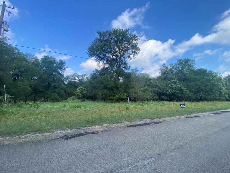 Welcome to a rare opportunity in the sought-after Horseshoe Bend subdivision of Weatherford, Texas! This expansive 1.2-acre lot is the perfect canvas for your dream home in a serene, picturesque setting. Nestled in a community known for its natural beauty and tranquil lifestyle, this lot offers easy access to the Brazos River for fishing, kayaking, and picnicking. Enjoy the benefits of a well-established neighborhood with a country feel. Essential utilities, including water and electricity, are available, making it easier to start building. Conveniently located, this lot offers quick access to Weatherford's amenities, shopping, dining, and top-rated schools. It's a short drive from Fort Worth, perfect for city commutes while enjoying country peace. Besides river activities, the subdivision includes a golf course, parks, and trails, ensuring plenty of outdoor activities for all ages. Don't miss this chance to own a piece of paradise in Weatherford, TX!