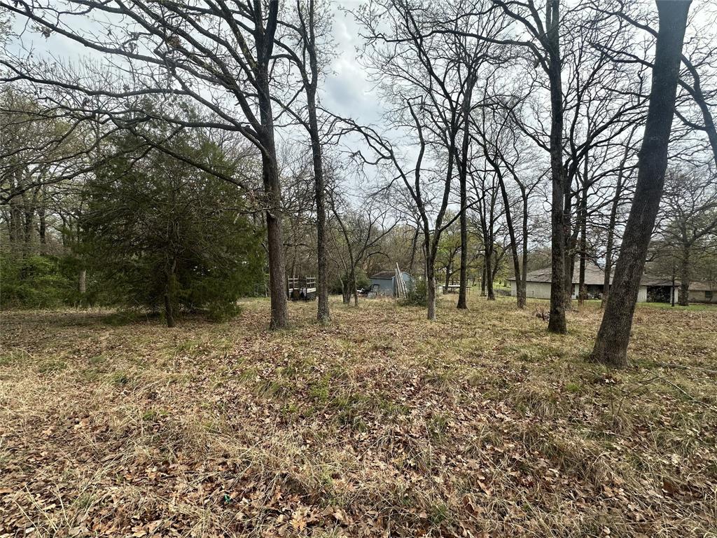 Arbolado Sec I - Land