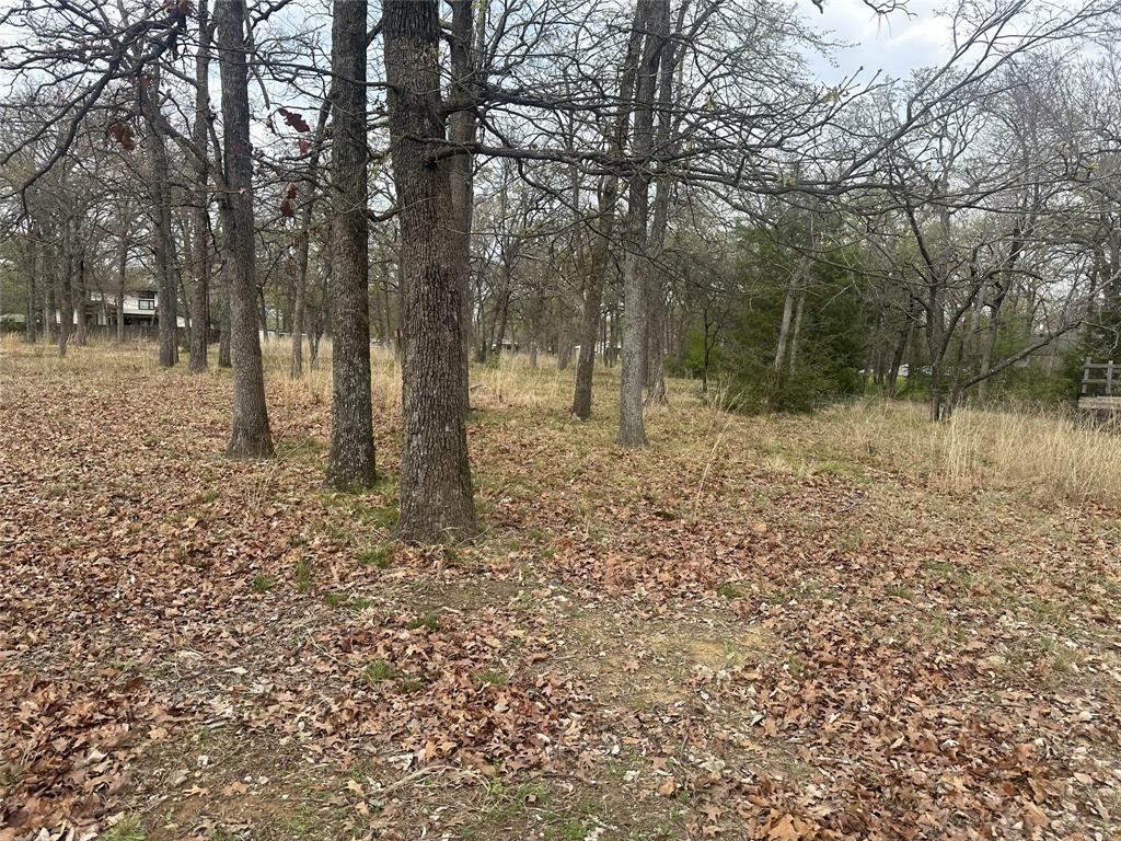 Arbolado Sec I - Land