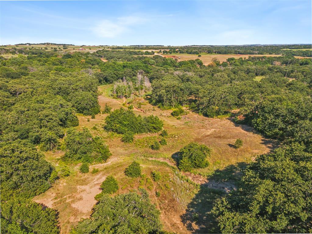 TBD Sanger Drive