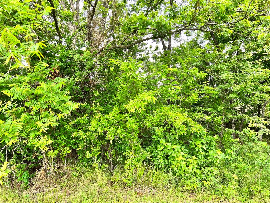 The Shores On Richland Chamb - Land