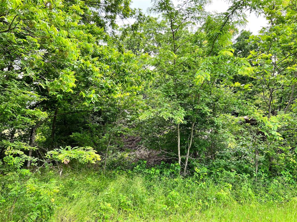 The Shores On Richland Chamb - Land