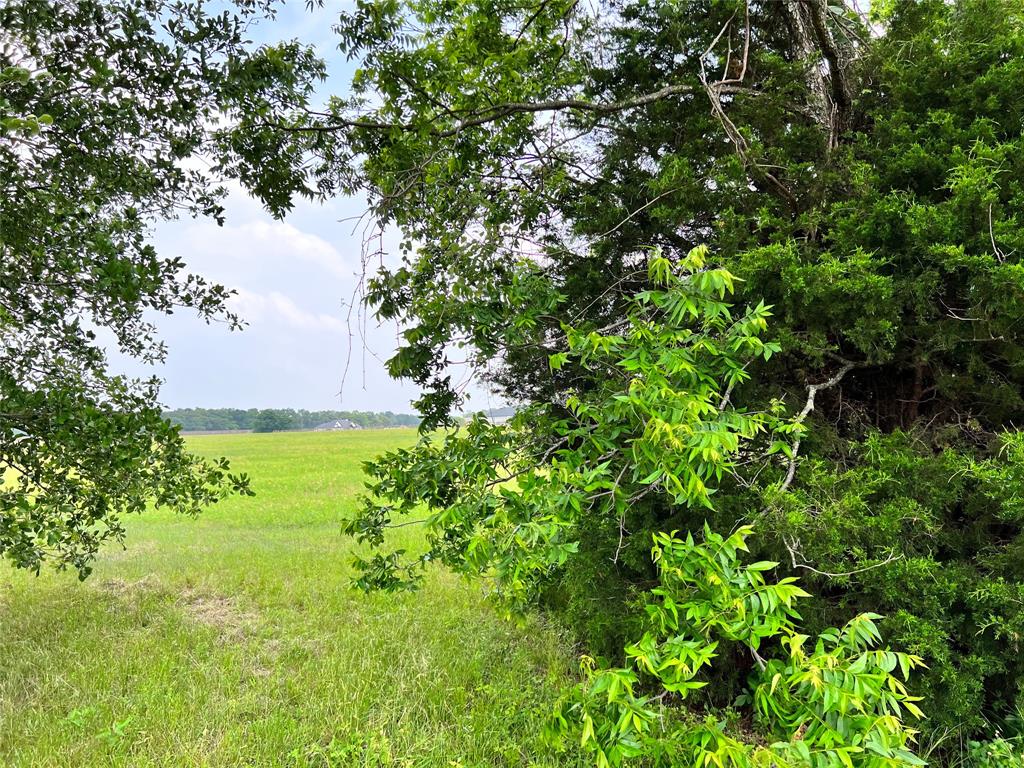 The Shores On Richland Chamb - Land