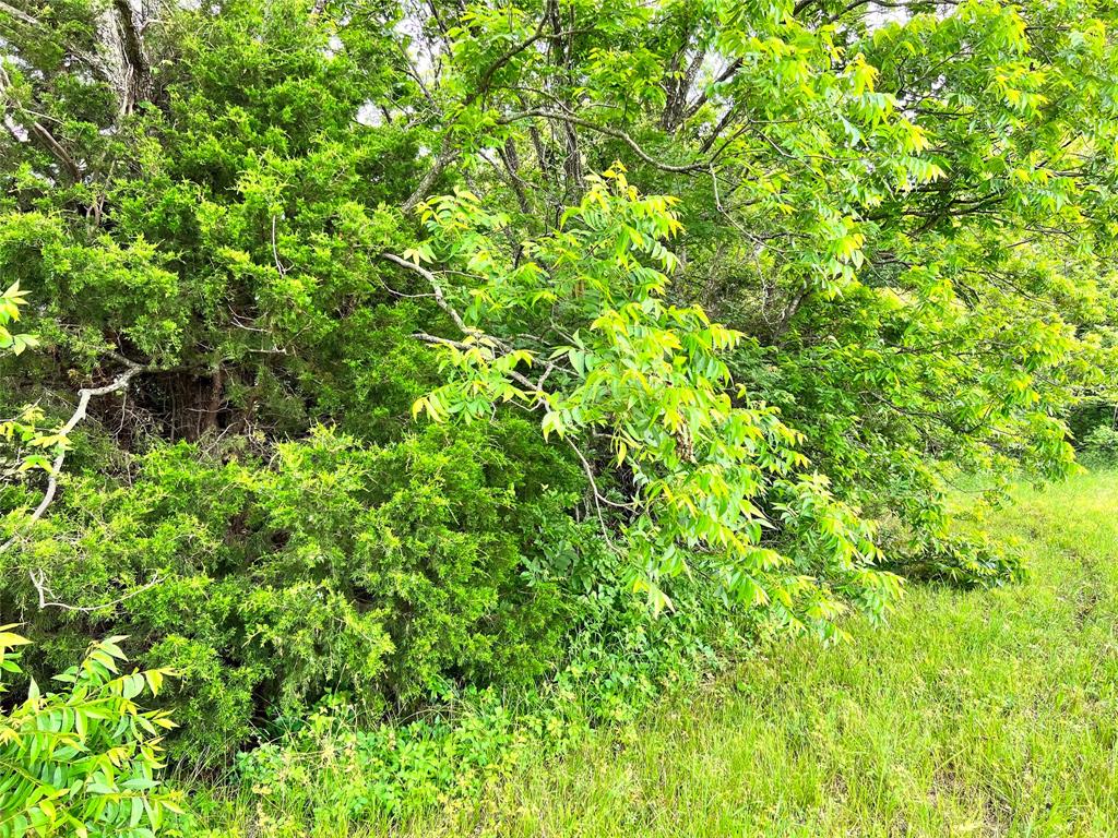 The Shores On Richland Chamb - Land