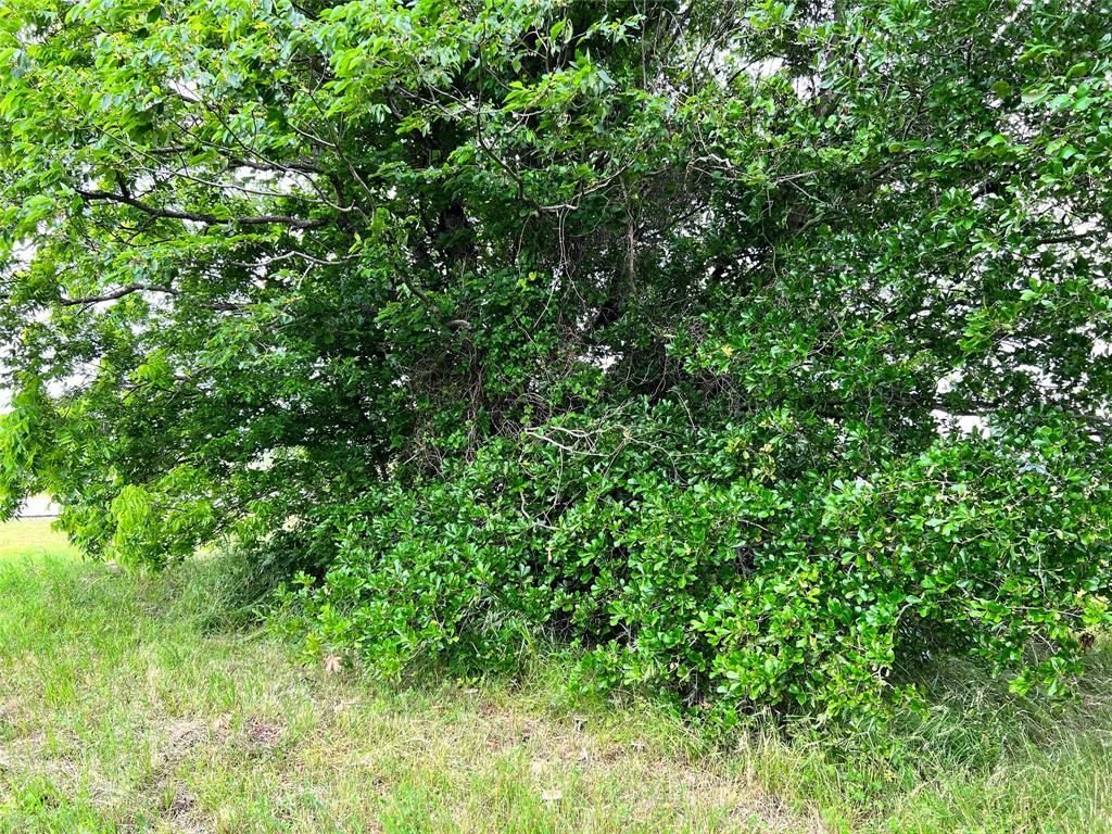 The Shores On Richland Chamb - Land