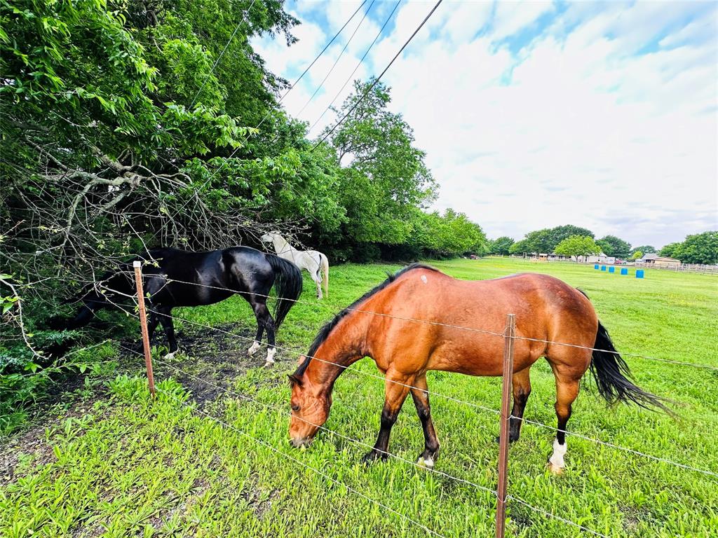 Broadmoor Estates - Residential