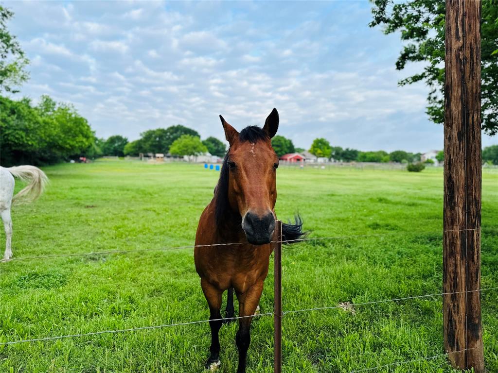 Broadmoor Estates - Residential