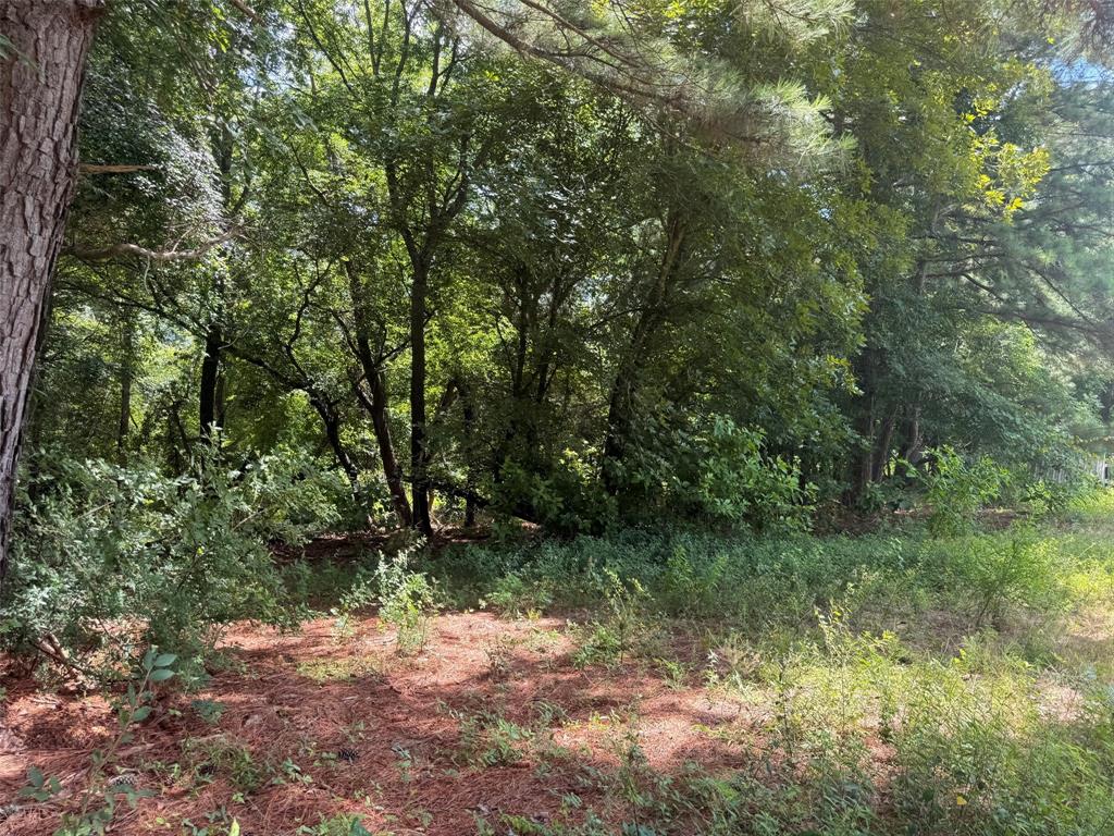 5767 Farm to Market Rd 2339