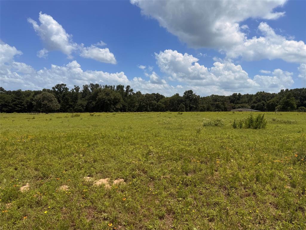 5767 Farm to Market Rd 2339
