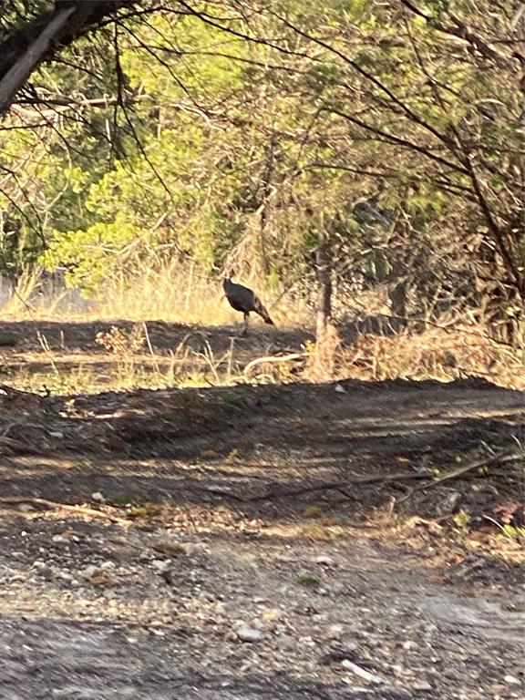 Eagles Bluff Ph 2 - Land