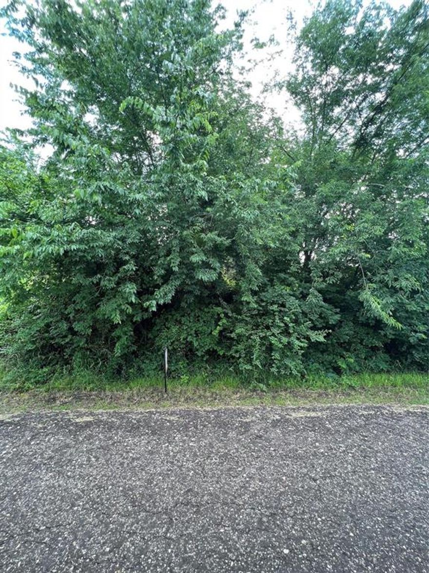 Vacant Land! Bring you imagination and make this piece of land yours! The property has an access easement. Come make this property yours today!