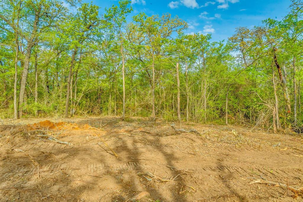 Roosevelt Estates - Land