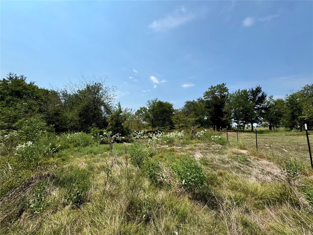 598 County Road 3201