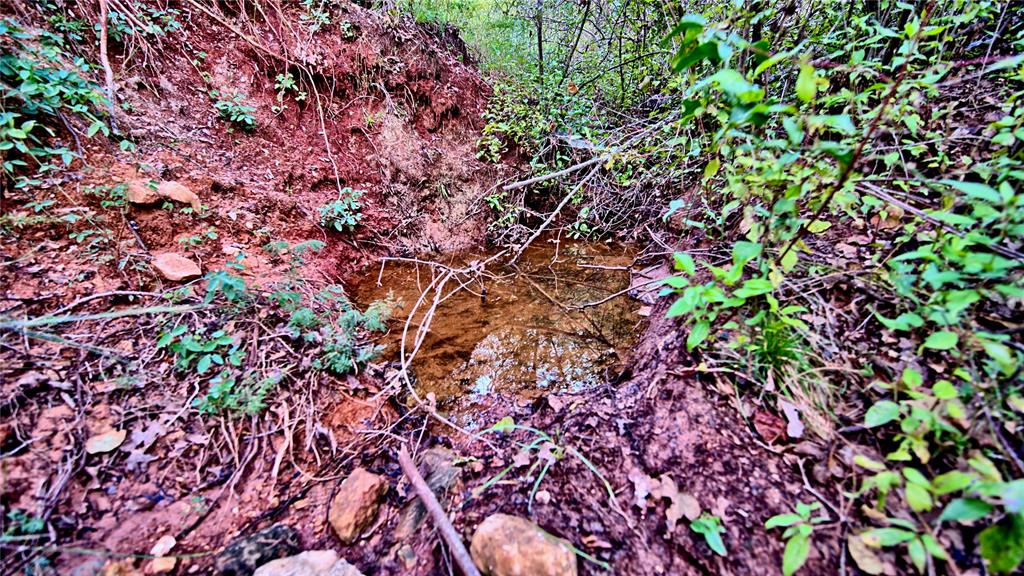 Red Oak Hills Sub - Land