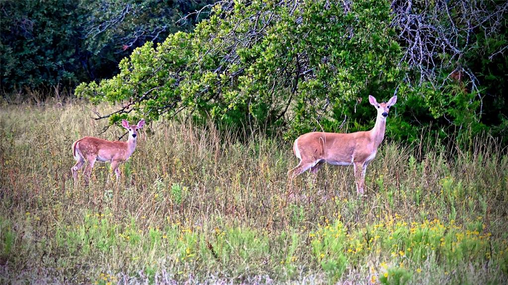 Red Oak Hills Sub - Land