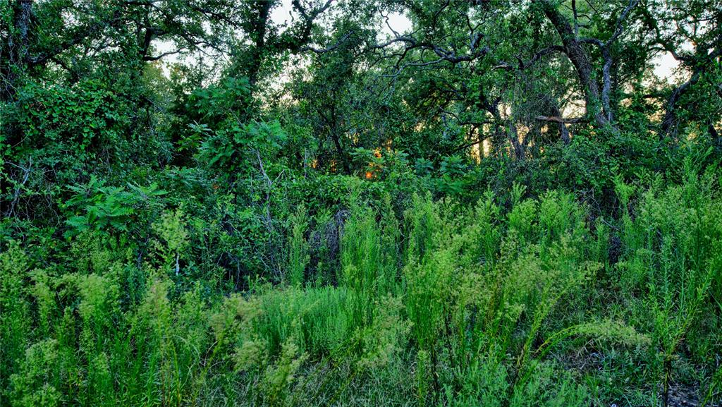 Red Oak Hills Sub - Land