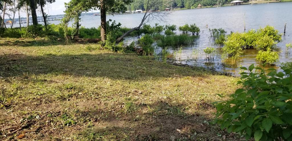 Paradise Shores - Land