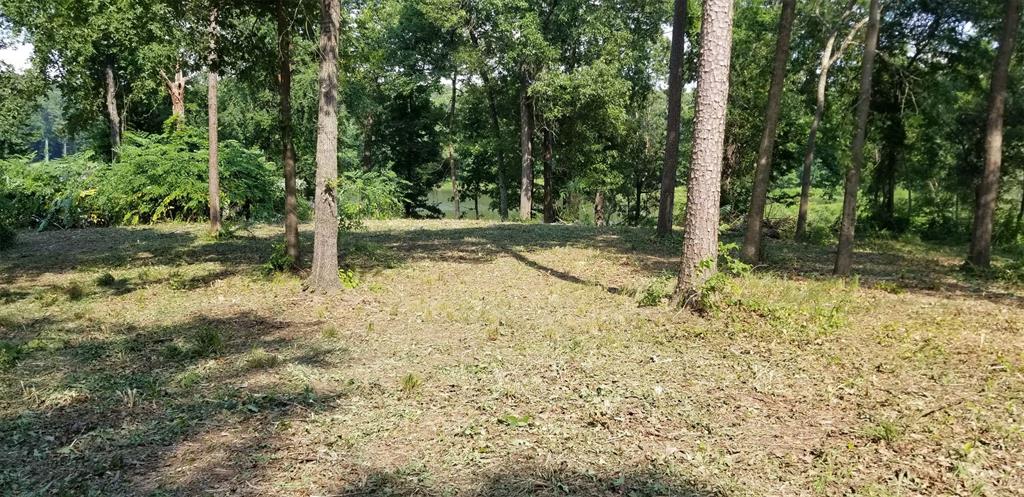 Paradise Shores - Land