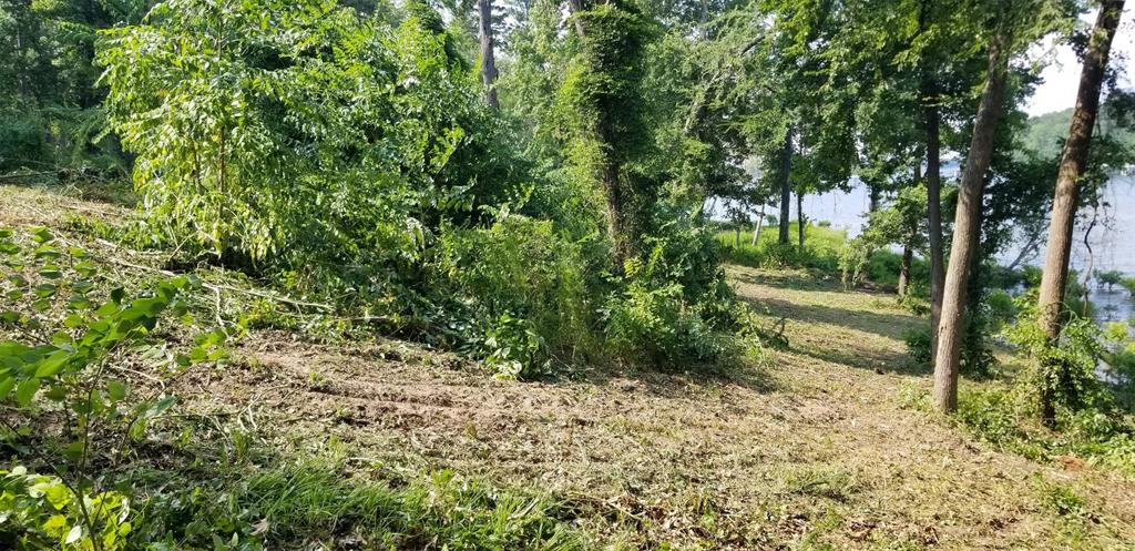 Paradise Shores - Land