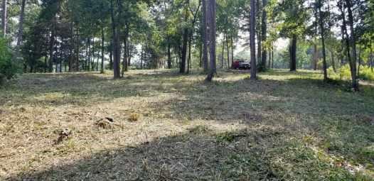 Paradise Shores - Land