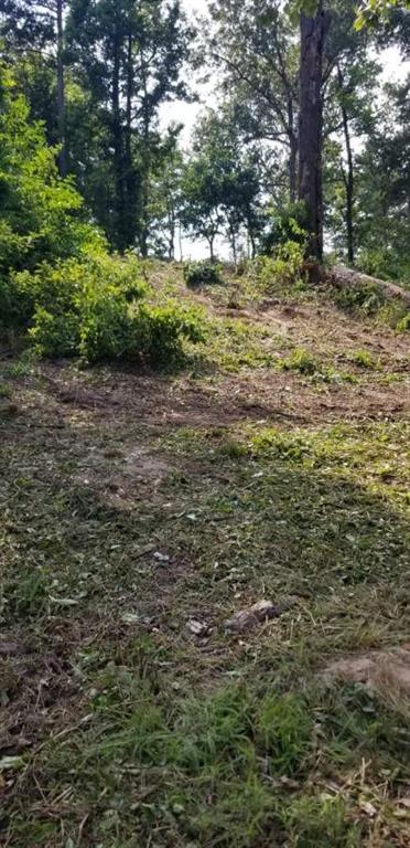 Paradise Shores - Land