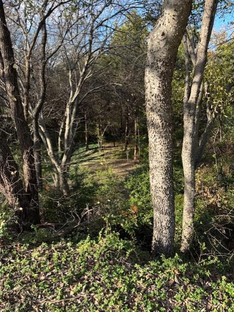 Lake Ridge Village 02 - Land