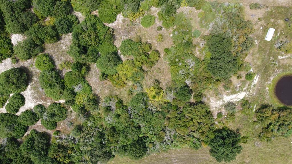 M R Palacios-East - Land