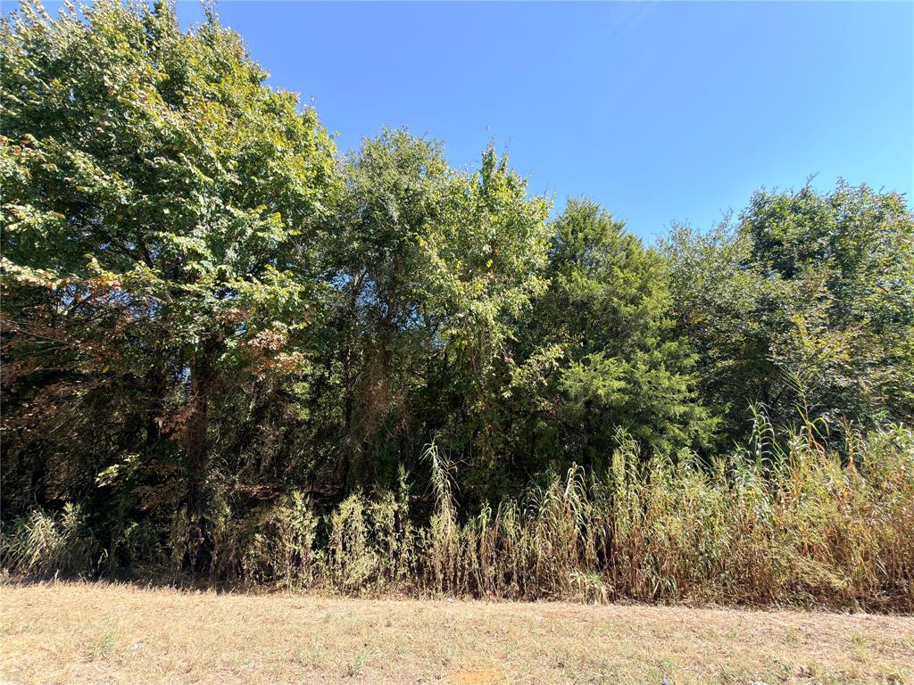 7.5 Acres S Fairway