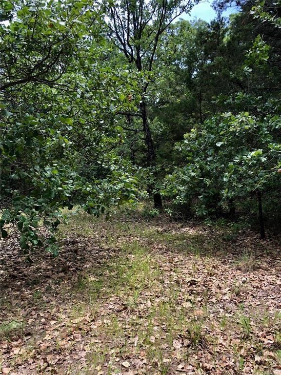 The Wilderness - Land