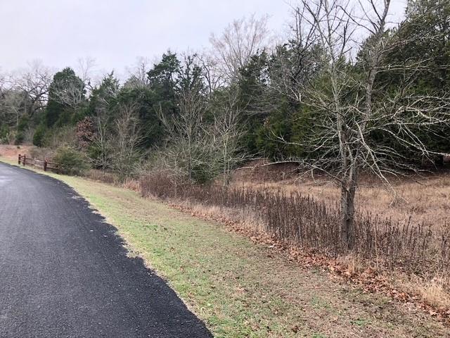 The Wilderness - Land