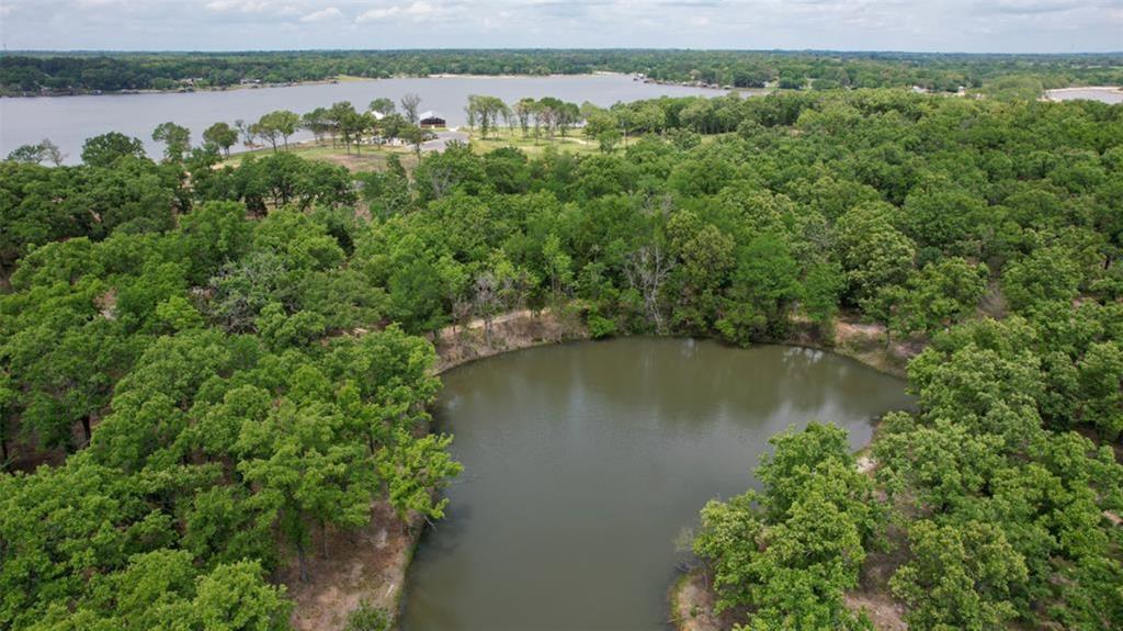 Cedar Creek Ranch - Land