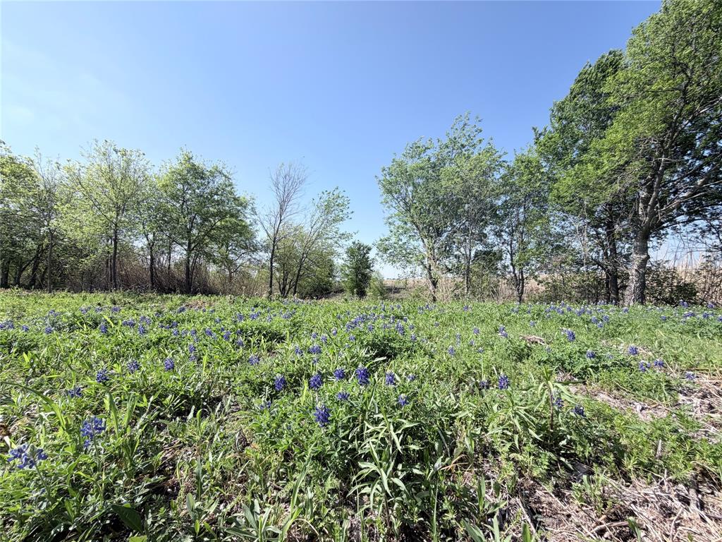 TBD County Road 3204