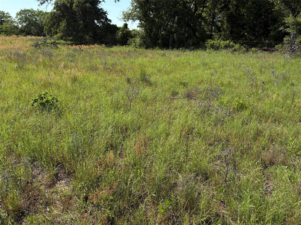 J C Campbell Surv Pat 114 Volu - Land