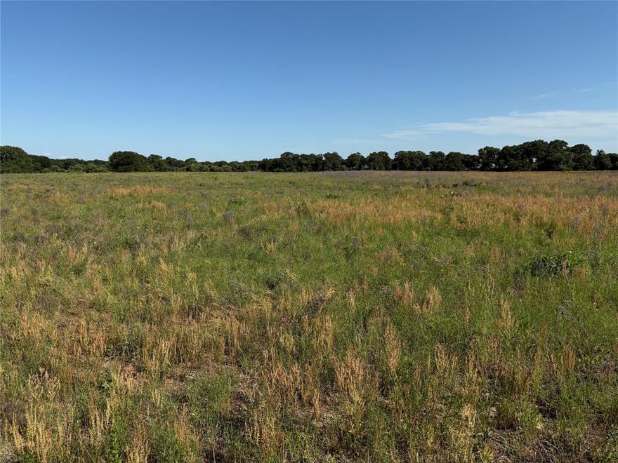 9301 Mineral Wells Hwy in Weatherford, TX, is poised for incredible possibilities! With approximately 19.543 acres of sandy land featuring some improved  grass, and a charming wooded section, the future here holds exciting potential for development and enhancement. Imagine the transformation and opportunities that await in this promising space!