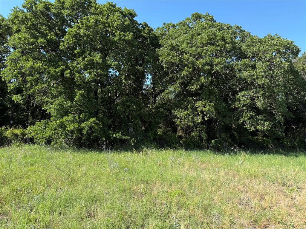 J C Campbell Surv Pat 114 Volu - Land