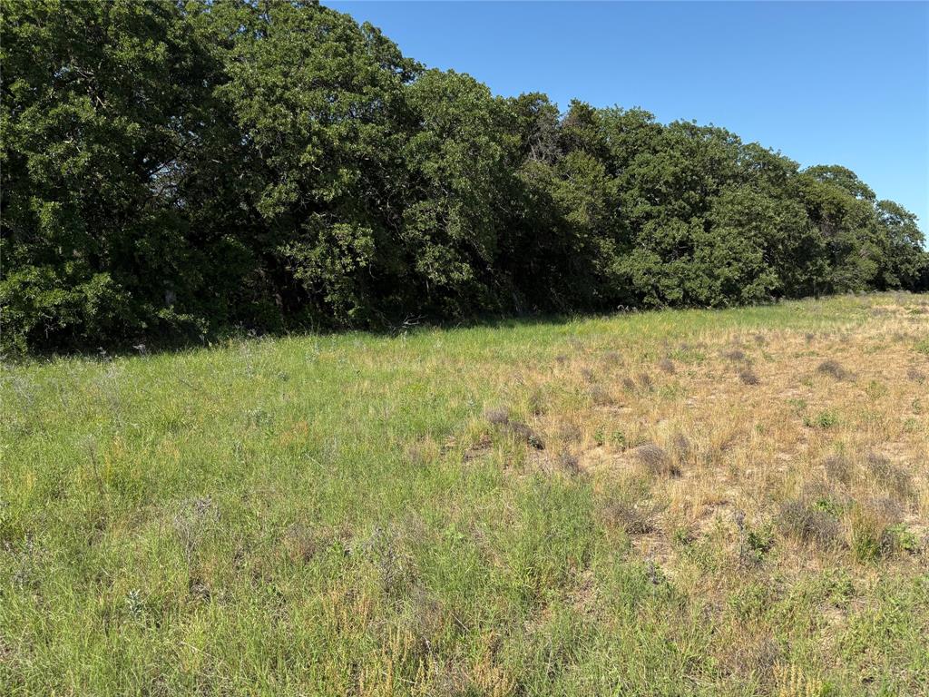 J C Campbell Surv Pat 114 Volu - Land