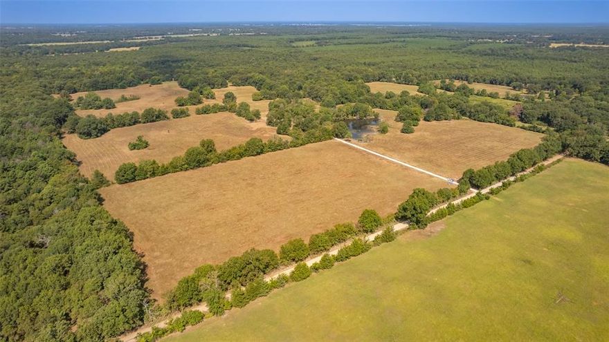 Welcome to the GREAT OUTDOORS!Wildlife abound plentiful on this beautiful flat land.Literally hundreds of trees on this property.Located less than an hour from Casinoland in OK & the famous Hochatown known for it's own outdoor paradise.Mobiles ALLOWED!Owner will finance with down payment. Buyer will be responsible for paying surveyor to survey out the 10 acres from a total acreage tract of 107 acres.Minimum acreage to be purchased is 10 acres.Perfect location to put a double wide mobile home,build a barn,put up a swimming pool & have plenty of room to roam.There are a total of 4 ponds on the larger tract of land.Owner just installed a gravel road into the property.There is Electricity out there & property has a well.There is a phone box on the corner of the road.Privacy galore!Affordable,owner finance,Detroit ISD & close to Community Center where citizens enjoy cake walks, fish fries,silent auctions,chili cookoffs and much more! Don't wait! Make this spot your new home location today!