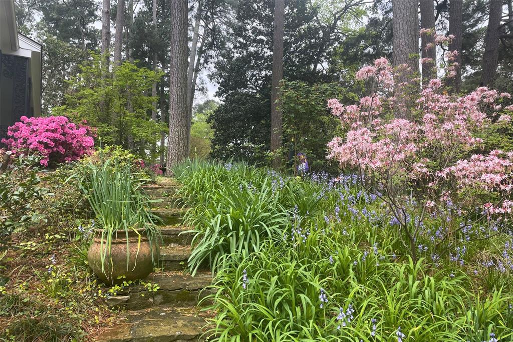 North Pierremont Sub - Residential