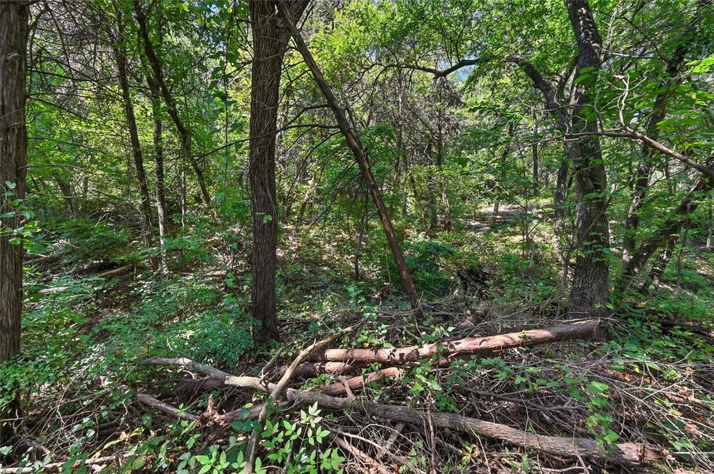 Juniper Ridge - Land