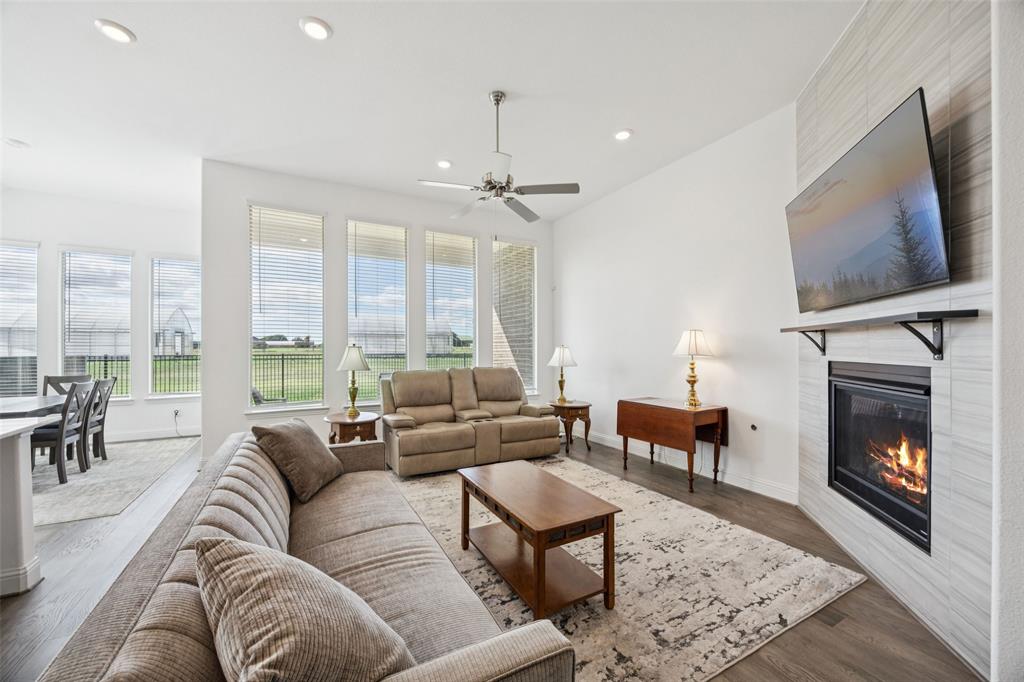 17311 Texas Pistache Drive