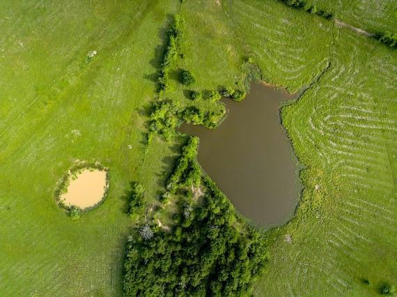 70+/- Acres Turner