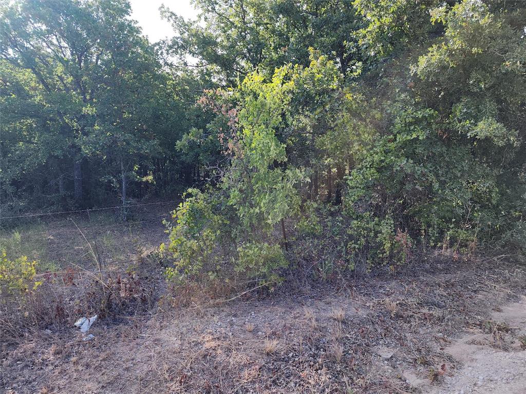 TBD County Road 125 Road