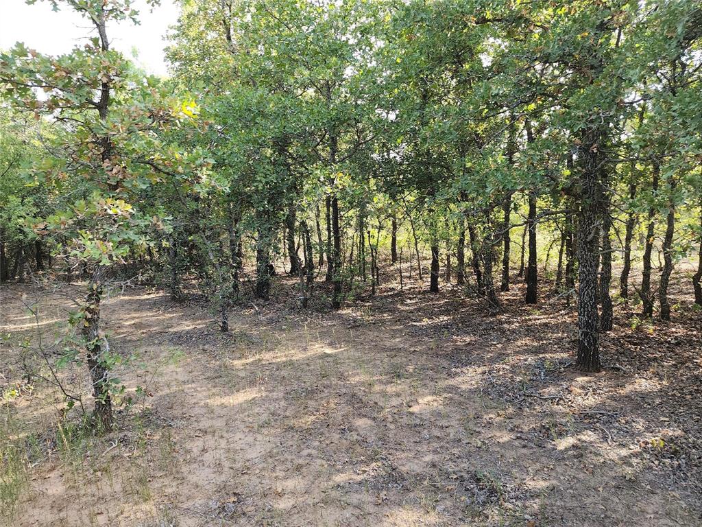 TBD County Road 125 Road
