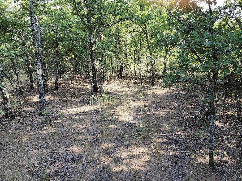 TBD County Road 125 Road