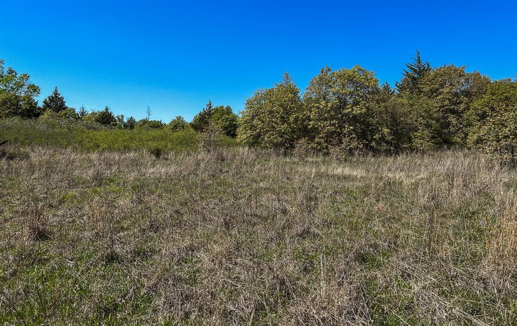 Francis Hickax - Farm