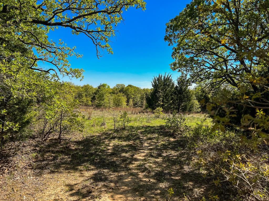 Francis Hickax - Farm