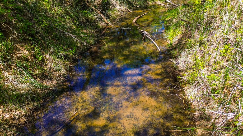 Francis Hickax - Farm