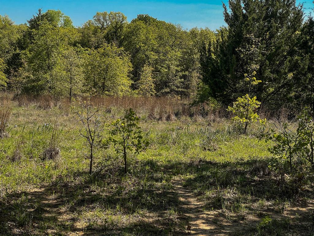 Francis Hickax - Farm