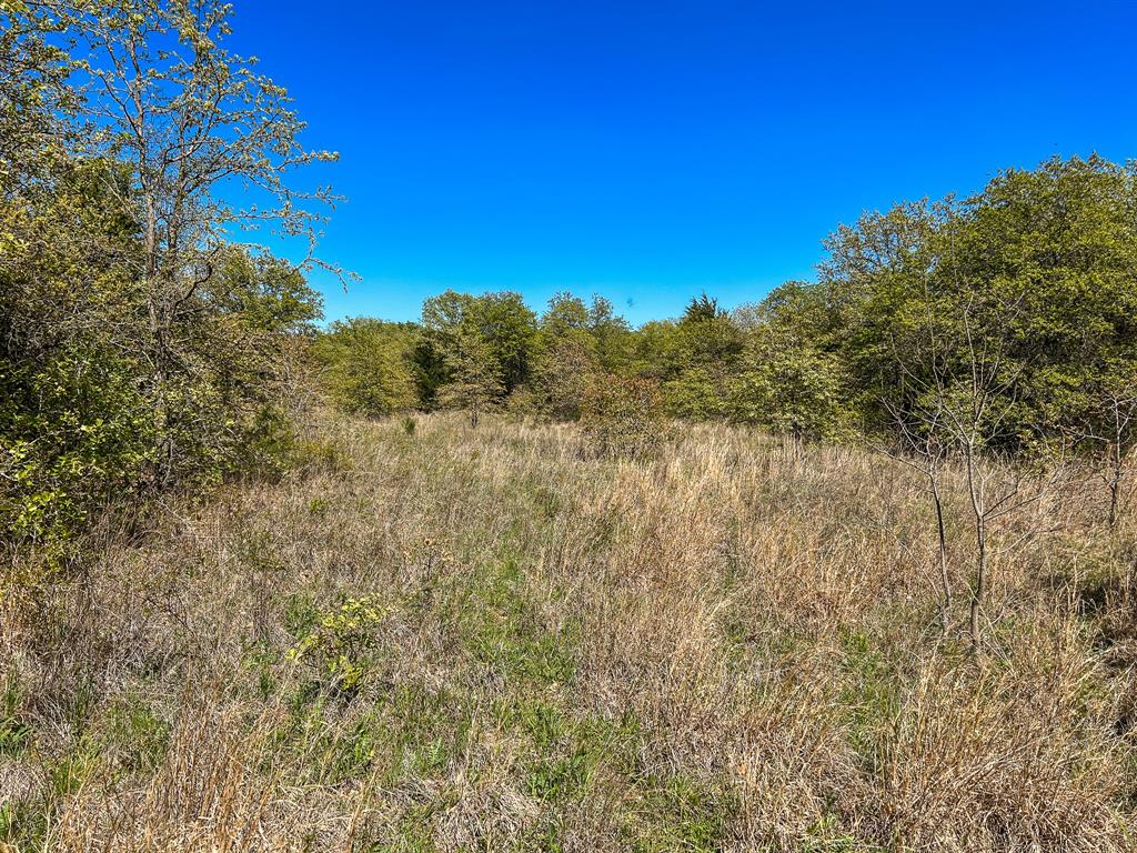 Francis Hickax - Farm