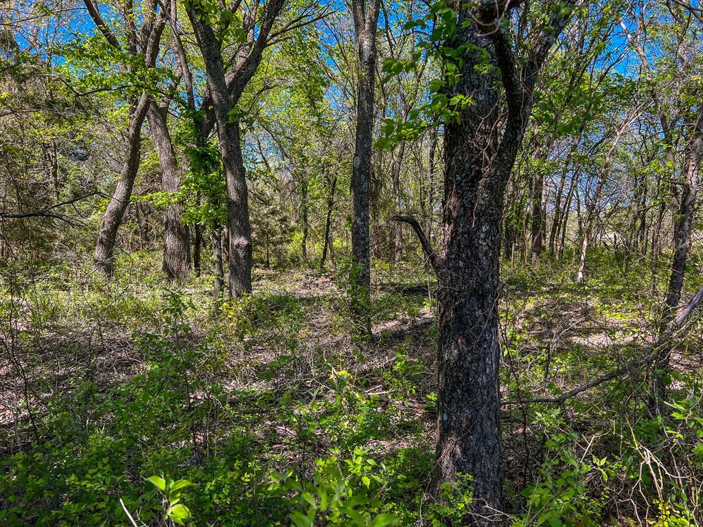 Francis Hickax - Farm